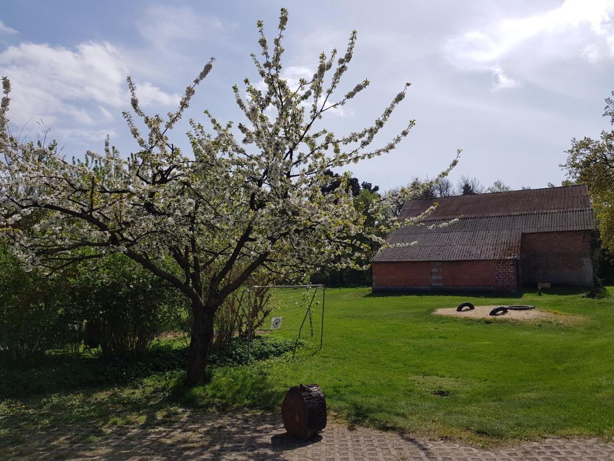 Pension New Nomads Zesch Exterior foto